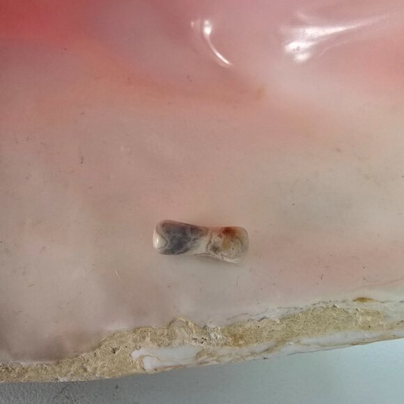 Pair Crazy Lace Agate organic plugs gauge double flare stretchers 4 mm 6G NWT - Picture 2 of 3